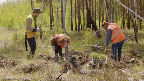Group-of-multiethnic-ecologist-activists-plowing-the-land-and-planting-trees-in-the-forest