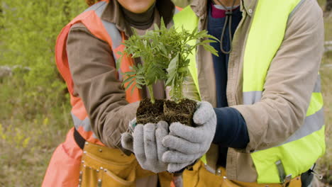 Close-up-view-of-caucasian-man-and-african-american-woman-activists-holding-small-trees-in-front-of-the-camera