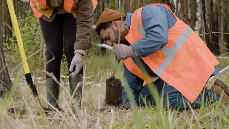 African-american-woman-activist-pushing-the-shovel-in-the-ground-while-a-arab-coworker-planting-a-tree-in-the-forest
