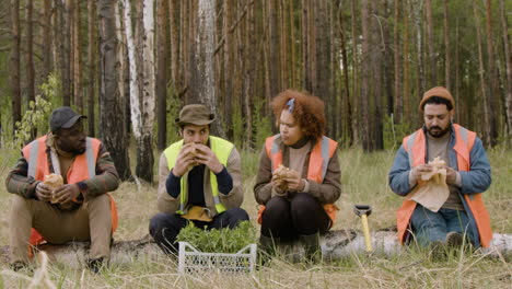 Front-view-of-a-group-of-multiethnic-ecologist-activists-eating-and-talking-in-a-break-sitting-on-a-trunk-in-the-forest