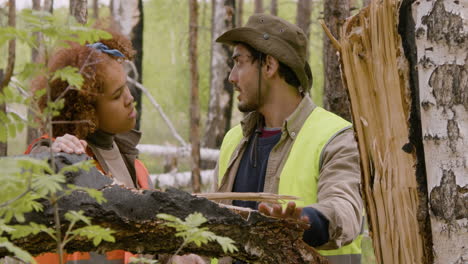 African-american-woman-activist-and-caucasian-male-coworker-talking-in-the-forest