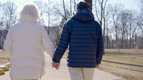 Rear-view-of-a-senior-couple-holding-hands-and-walking-in-the-park-on-a-winter-day