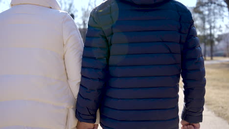 Rear-view-of-a-senior-couple-holding-hands-and-walking-in-the-park-on-a-winter-day