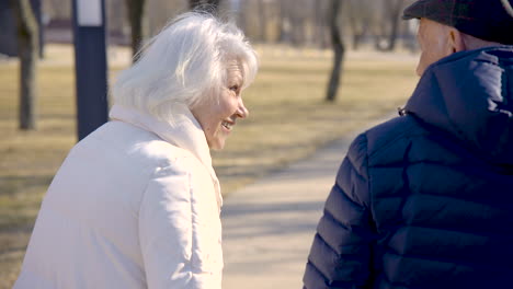 Rear-view-of-a-senior-couple-holding-hands,-walking-and-talking-in-the-park-on-a-winter-day