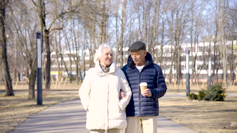 Senior-couple-holding-hands-and-walking-in-the-park-on-a-winter-day