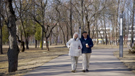 Distant-view-of-a-couple-holding-hands-and-walking-in-the-park-on-a-winter-day