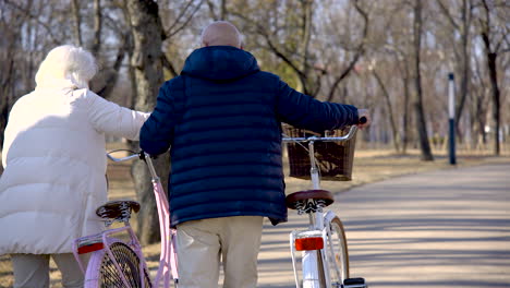 Rear-view-of-a-senior-couple-holding-bikes-while-walking-and-hugging-in-the-park-on-a-winter-day