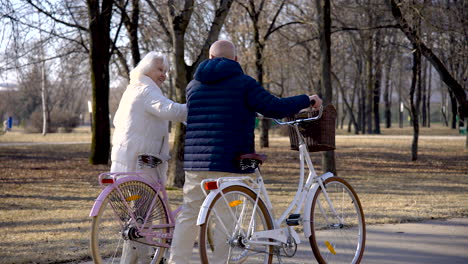 Rear-view-of-a-senior-couple-holding-bikes-while-walking-and-talking-in-the-park-on-a-winter-day