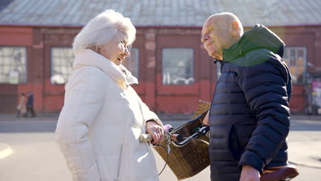 Seniorenpaar-Redet-Und-Lacht-An-Einem-Wintertag-Im-Park