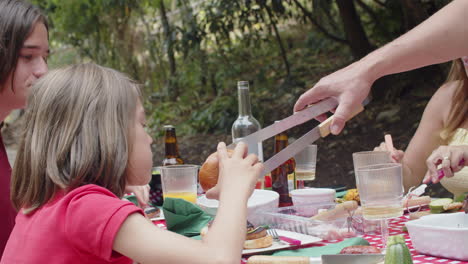 Slow-motion-shot-of-family-eating-barbecue-at-picnic