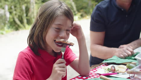 Medium-shot-of-happy-boy-eating-barbecue-at-picnic