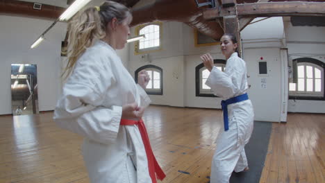 Handheld-shot-of-cheerful-girls-practicing-karate-beats-in-gym