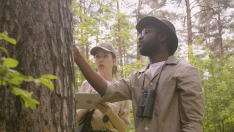 Caucasian-and-african-american-forest-wardens-examining-the-bark-of-a-tree-and-checking-it-on-a-tablet-in-the-woods
