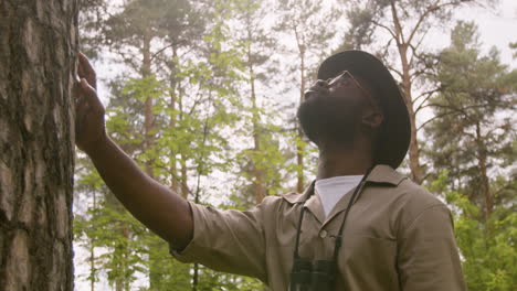 Close-up-view-of-african-american-forest-warden-in-hat-and-sunglasses-examining-the-bark-of-a-tree-in-the-woods