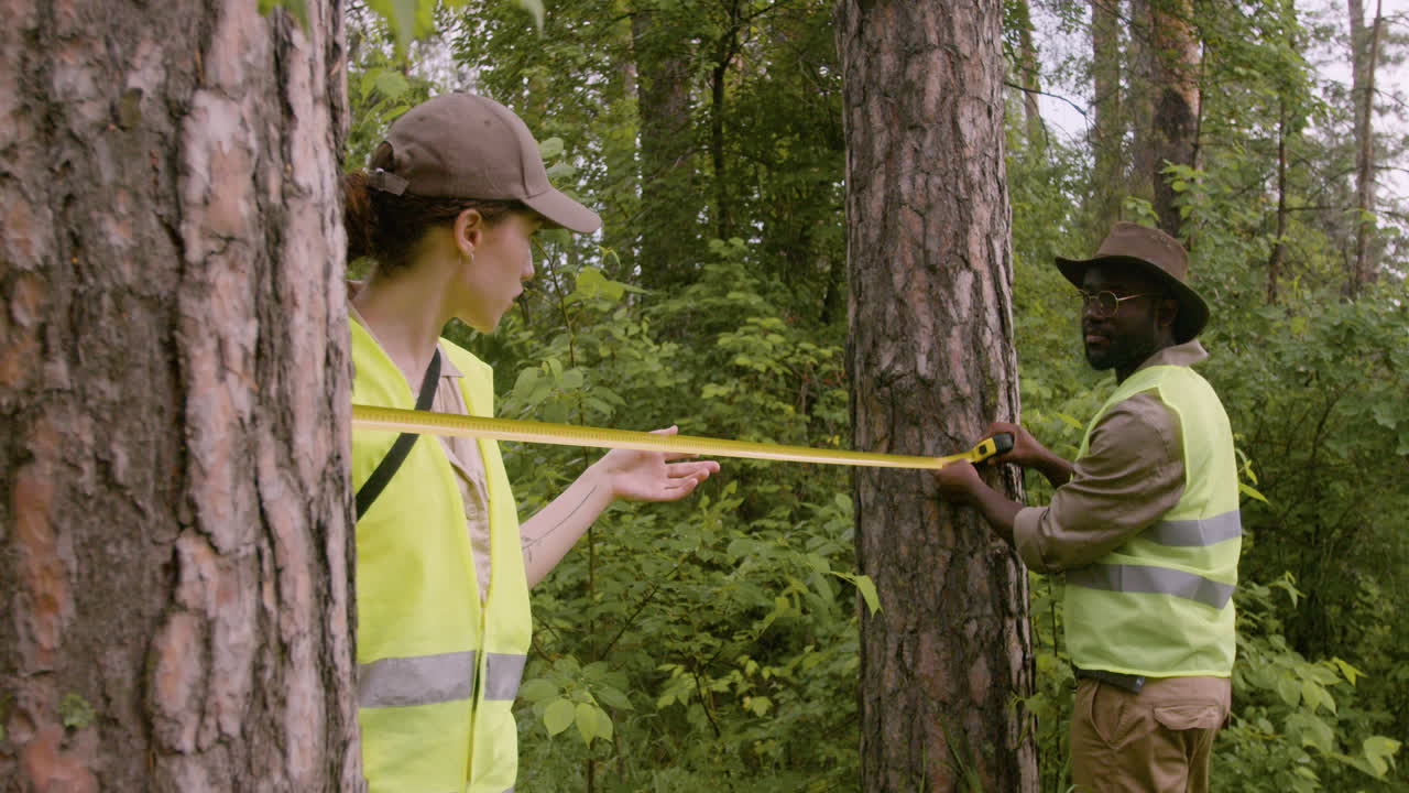 Free stock video - Caucasian and african american forest wardens ...