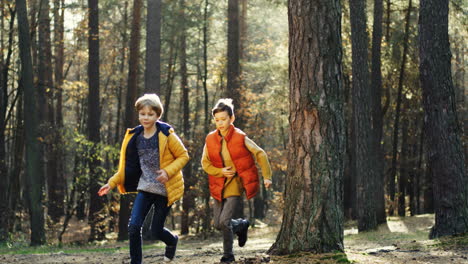 Caucasian-boys-running-in-the-forest-on-a-sunny-day