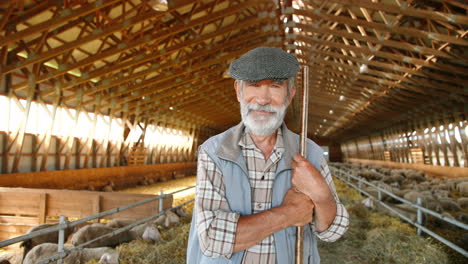 Portrait-of-old-Caucasian-old-man-in-hat-with-rake-standing-in-stable-of-sheep-flock-and-smiling-to-camera