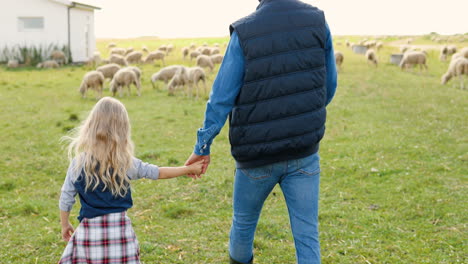 Rear-view-of-Caucasian-father-walking-holding-hand-with-small-daughter-in-green-field-with-sheep-flock