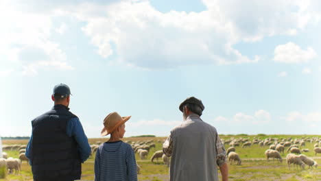 Rear-view-of-grandfather,-father-and-son-farmers-walking-and-talking-in-green-field-while-the-sheep-flock-is-grazing