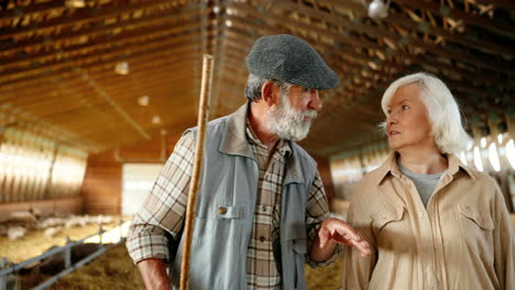 Caucasian-senior-man-and-woman-farmers-walking-and-talking-in-stable-with-sheep-flock