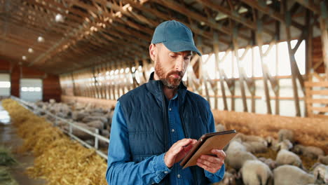Young-Caucasian-man-farmer-in-cap-using-tablet-in-stable-with-sheep-flock