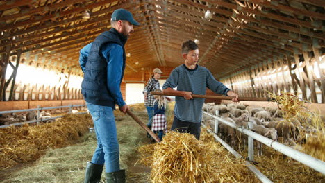 Family-of-farmers-cleaning-hay-with-rakes-to-feed-sheep-cattle-in-a-barn