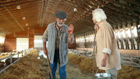 Old-Caucasian-gray-haired-couple-of-farmers-cleaning-hay-with-rakes-to-feed-sheep-cattle-in-a-barn
