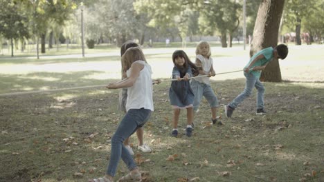 Cute-children-playing-tug-of-war,-pulling-rope-together-and-having-fun-in-the-park