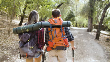 Back-view-of-hikers-carrying-camping-backpacks-and-walking