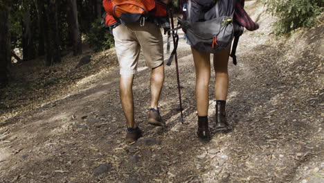 Legs-of-hikers-wearing-camping-backpacks-and-walking-through-forest