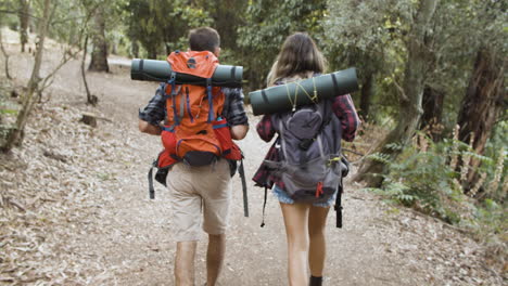 Couple-of-active-travelers-with-backpacks-walking-in-forest