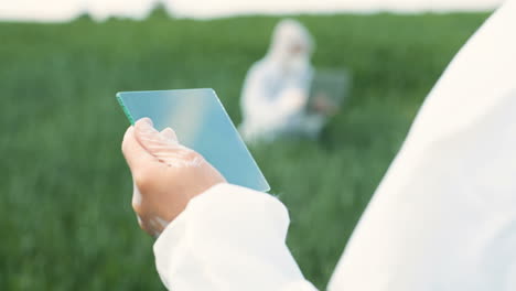 Rear-view-of-researcher-man-hands-in-gloves-tapping-on-glass-in-the-green-field