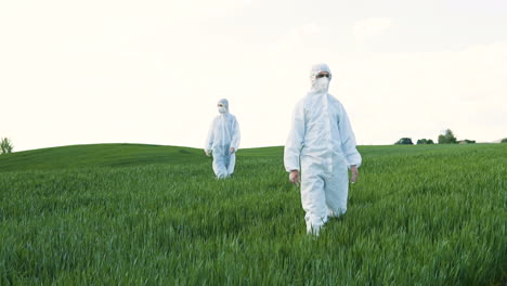 Caucasian-researchers-in-white-protective-suits-and-goggles-walking-in-the-green-field-while-doing-pest-control