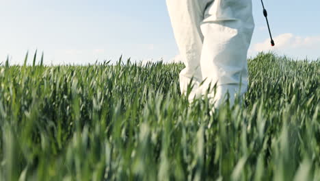 Close-up-view-of-caucasian-researcher-man-in-white-protective-suit-and-goggles-walking-the-green-field-and-spraying-pesticides-with-pulverizator