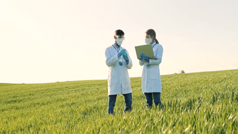 Caucasian-female-and-male-researchers-holding-test-tube-with-chemicals-pesticides-and-using-laptop-in-the-green-field