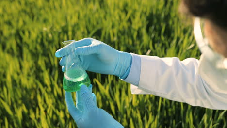 Close-up-view-of-researcher-man-hands-holding-test-tube-and-doing-pest-control-in-the-green-field