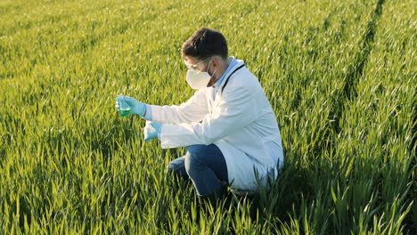 Researcher-man-squatting-and-holding-test-tube-while-doing-pest-control-in-the-green-field