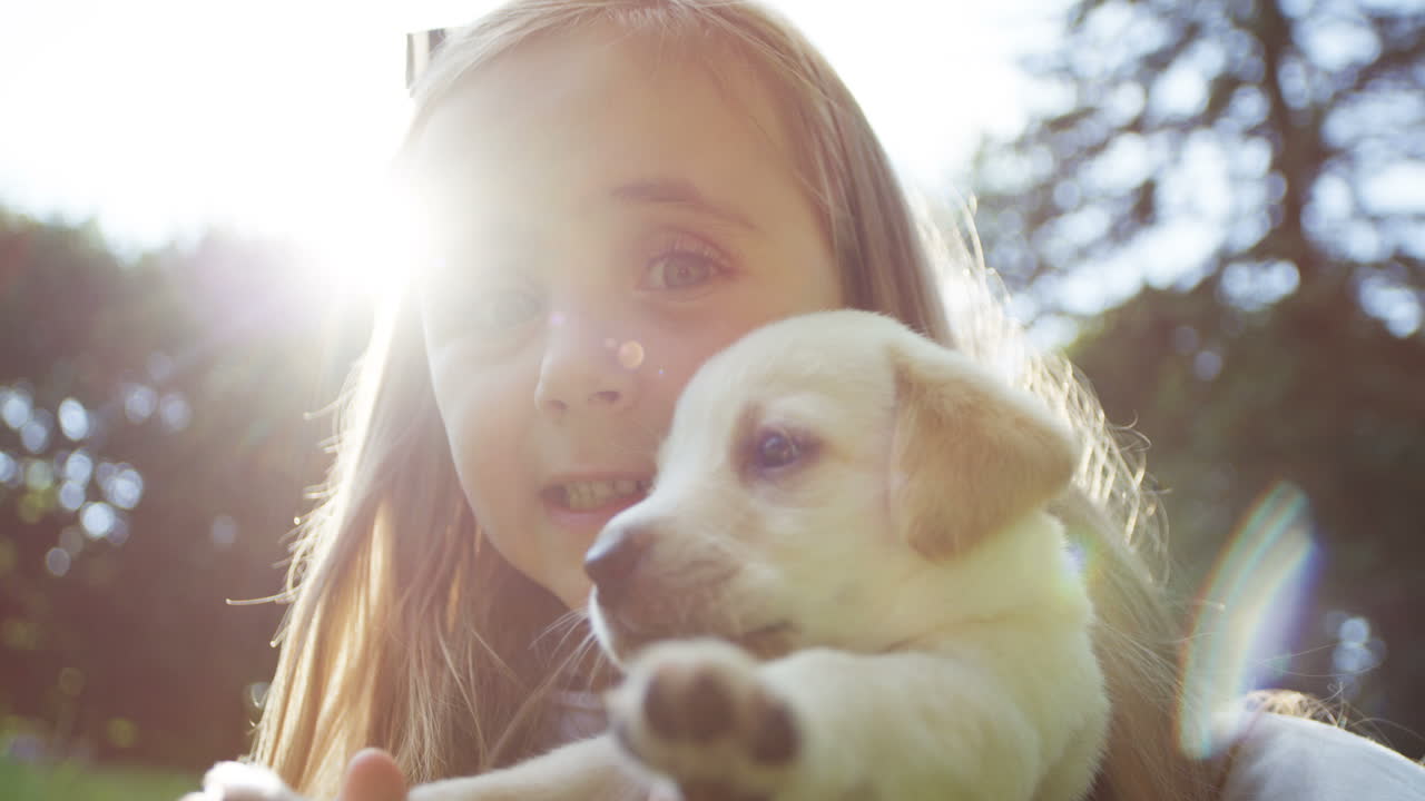 close-up view of teh small lovely girl holding her labrador puppy in the  park on a sunny day