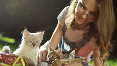 Close-up-view-of-a-caucasian-young-woman-lying-on-green-grass-and-petting-little-cats-in-a-basket-in-the-park