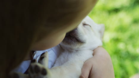 Close-up-view-of-cute-small-caucasian-girl-holding-and-hugging-a-labrador-puppy-which-sleeping-in-her-arms