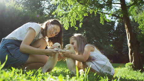Young-Caucasian-woman-in-glasses-and-pretty-little-girl-playing-with-two-labrador-puppies-in-the-park-on-a-sunny-day