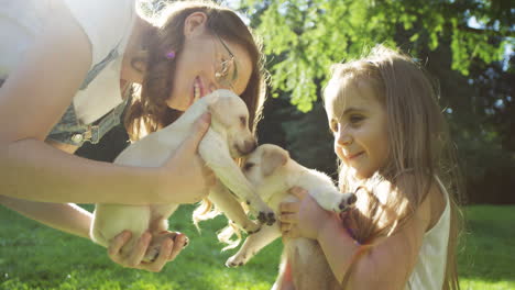 Young-Caucasian-woman-in-glasses-and-pretty-little-girl-playing-with-two-labrador-puppies-in-the-park-on-a-sunny-day