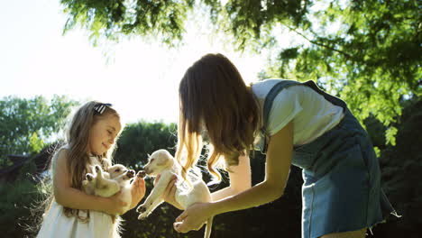 Young-Caucasian-woman-and-pretty-little-girl-playing-with-two-labrador-puppies-in-the-park-on-a-sunny-day