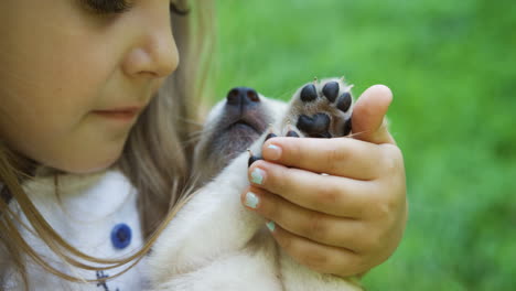 Close-up-view-of-a-cute-little-blonde-girl-holding-and-petting-labrador-puppy-in-the-park