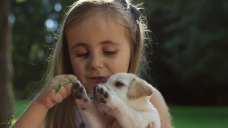Portrait-of-a-pretty-little-girl-holding-a-labrador-puppy-and-a-tree-branch-and-playing-with-it