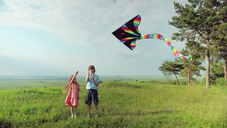 Caucasian-teen-boy-and-his-little-sister-in-the-park-while-they-are-flying-a-kite-on-a-sunny-day
