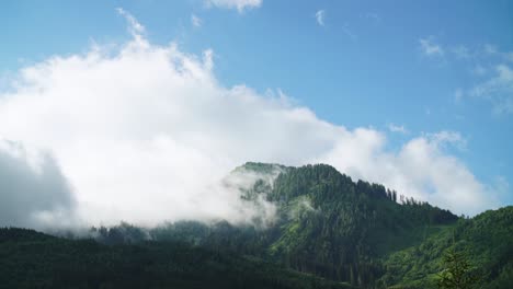 Zeitraffer-Des-Waldes-In-Österreich-Mit-Vorbeiziehenden-Wolken-Am-Frühen-Morgen