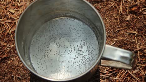 Kochen-Sie-Wasser-In-Einer-Metallschüssel-Im-Wald