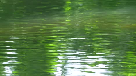 Ripples-and-reflections-in-the-river-in-slow-motion,-half-speed