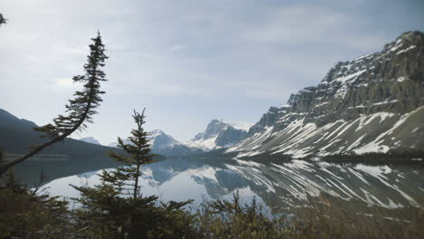 4k-Bow-Lake,-Banff,-Alberta---árboles-En-Primer-Plano---Reflejos-De-Espejo-De-Las-Montañas-En-El-Fondo---Muñeca-A-La-Derecha,-Tiro-En-Movimiento